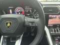 Lamborghini Urus Urus 4.0 V8 auto Nero - thumbnail 17