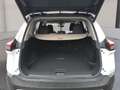 Nissan X-Trail X-TRAIL N-TREK 214PS e-4ORCE 5 SITZER Weiß - thumbnail 11