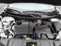 Nissan X-Trail X-TRAIL N-TREK 214PS e-4ORCE 5 SITZER Weiß - thumbnail 19