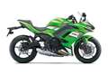 Kawasaki Ninja 650 2025 - Sofort Verfügbar zelena - thumbnail 2