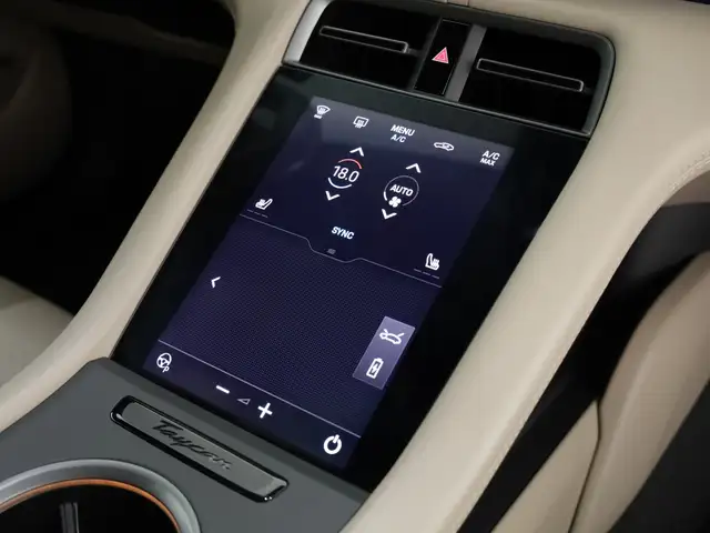 Porsche Taycan view 9