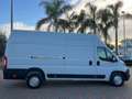 Fiat Ducato 2.3 Mjet 160cv Furgone Maxi volume Wit - thumbnail 4