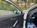 Audi Q2 1.6 Tdi Design NAVI 116CV " SUPER PREZZO " Bianco - thumbnail 8
