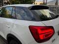 Audi Q2 1.6 Tdi Design NAVI 116CV " SUPER PREZZO " Bianco - thumbnail 5