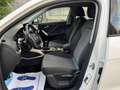 Audi Q2 1.6 Tdi Design NAVI 116CV " SUPER PREZZO " Bianco - thumbnail 6