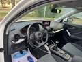 Audi Q2 1.6 Tdi Design NAVI 116CV " SUPER PREZZO " Bianco - thumbnail 7