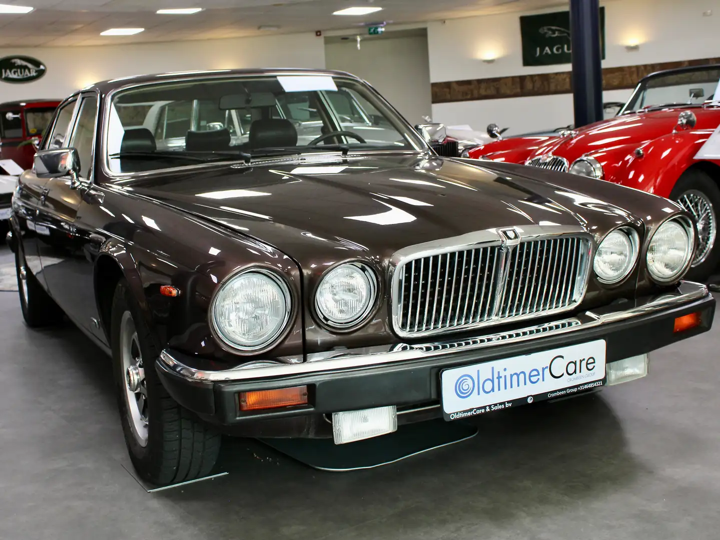 Jaguar XJ6 Sovereign Bruin - 2