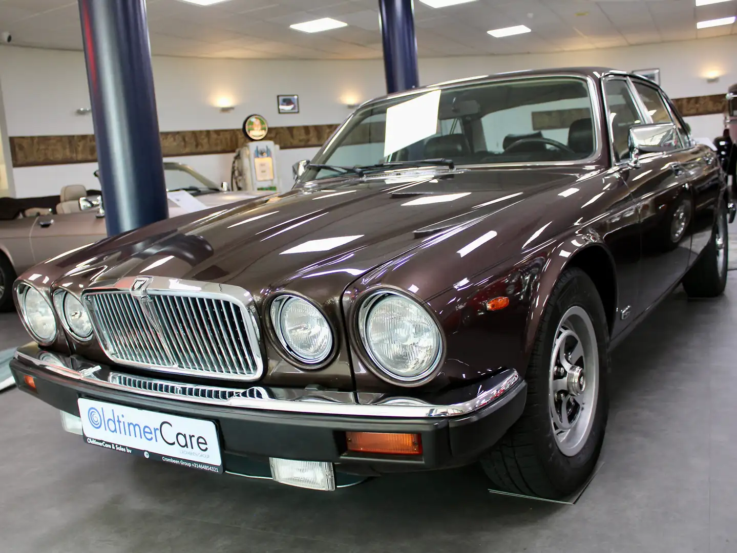 Jaguar XJ6 Sovereign Bruin - 1