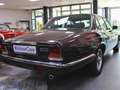 Jaguar XJ6 Sovereign Bruin - thumbnail 6
