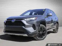2023 Toyota RAV 4