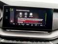 Skoda Octavia Combi RS TDI DSG ASSIST+MATRIX+LED+LEDER Schwarz - thumbnail 16