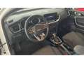 Kia Ceed SW / cee'd SW 1.5 T-GDI Navi LED Kamera DAB CarPlay SHZ LenkradH Weiß - thumbnail 6