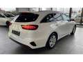 Kia Ceed SW / cee'd SW 1.5 T-GDI Navi LED Kamera DAB CarPlay SHZ LenkradH Weiß - thumbnail 3