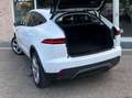 Jaguar E-Pace E-Pace 2.0D i4 HSE AWD 180CV auto Bianco - thumbnail 9