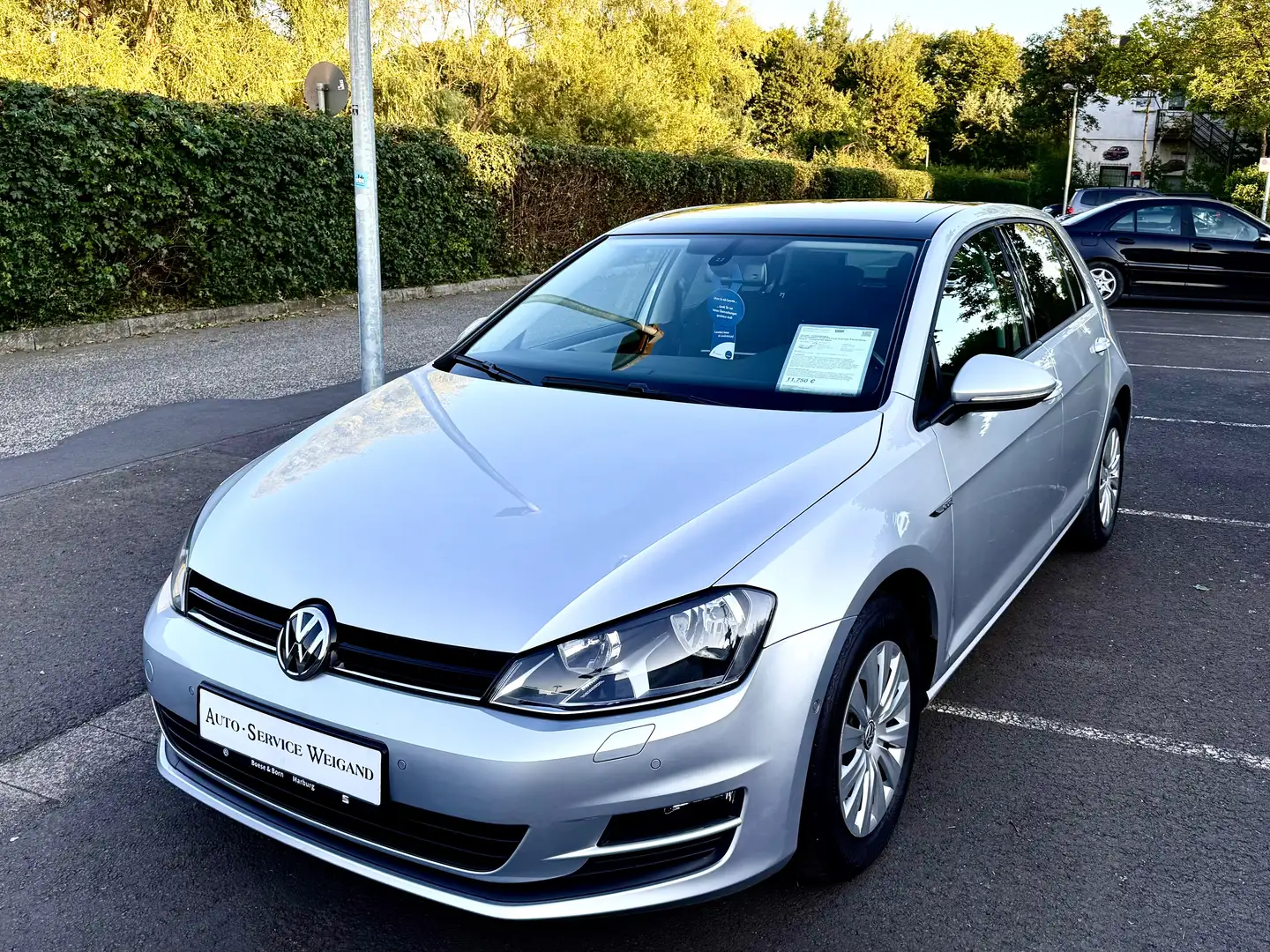 Volkswagen Golf VII Cup Edition Panorama-Dach Tempomat Navi Silber - 1