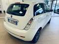 Lancia Ypsilon 1.2 69 CV Diva 113.000 Km Blanc - thumbnail 6