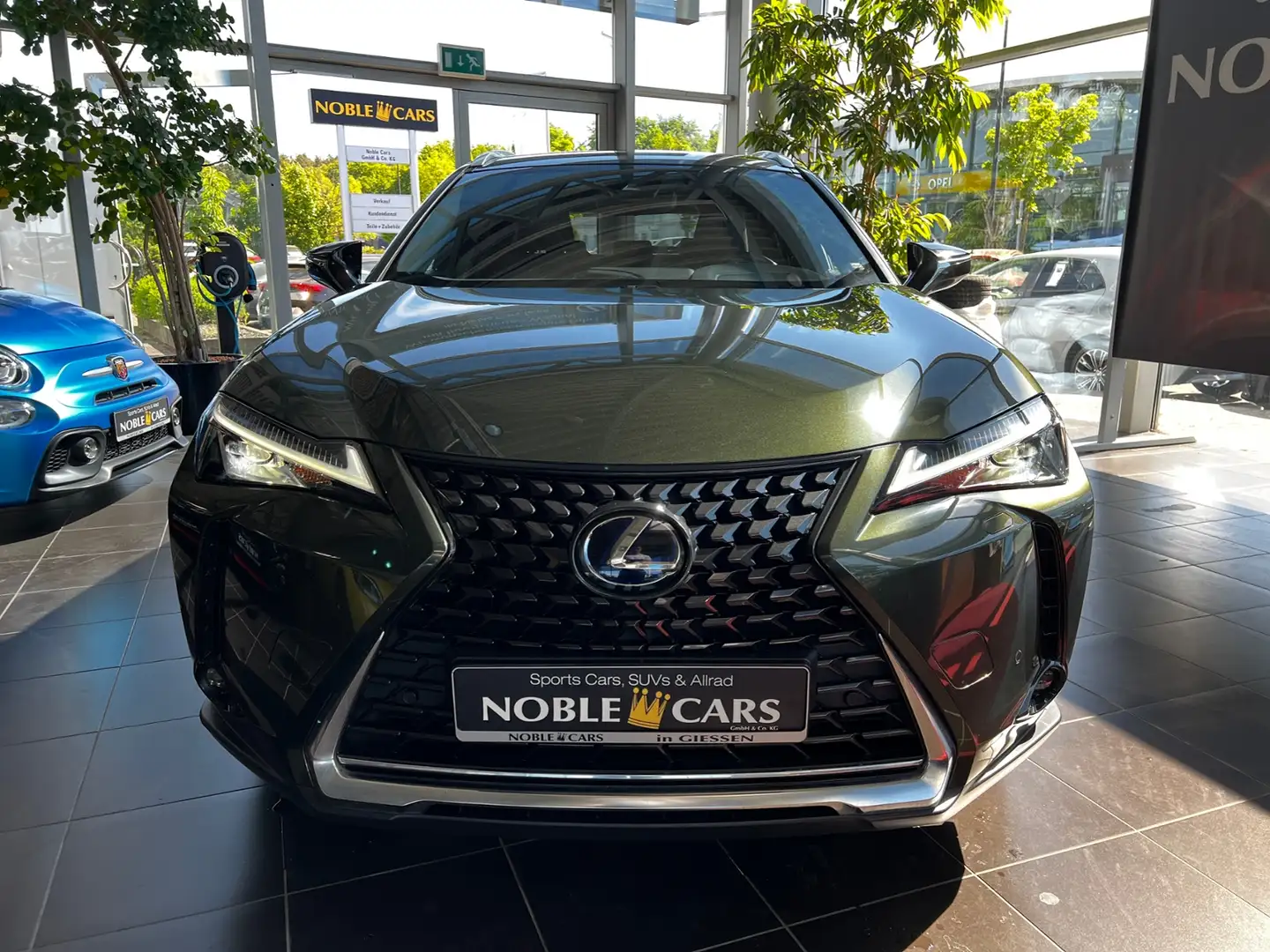 Lexus 250 h Style Edition AHK RFK Full Link LED Groen - 2