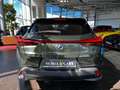 Lexus 250 h Style Edition AHK RFK Full Link LED Groen - thumbnail 6