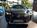 Lexus 250 h Style Edition AHK RFK Full Link LED Groen - thumbnail 2