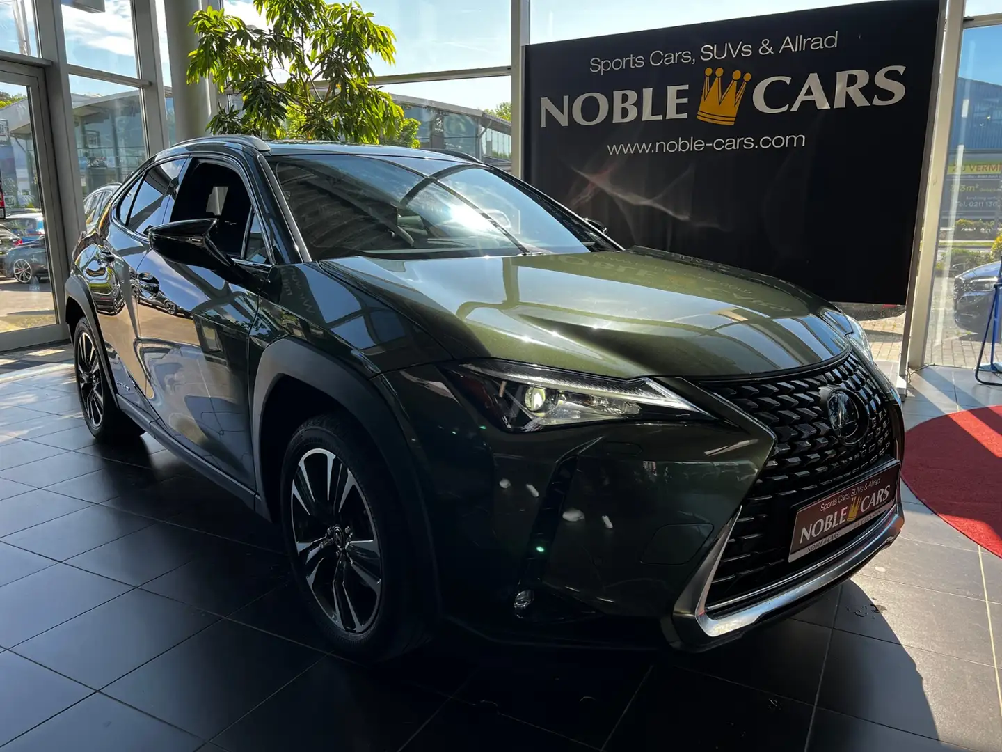 Lexus 250 h Style Edition AHK RFK Full Link LED Groen - 1