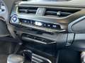 Lexus 250 h Style Edition AHK RFK Full Link LED Groen - thumbnail 22