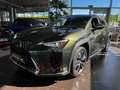 Lexus 250 h Style Edition AHK RFK Full Link LED Groen - thumbnail 3