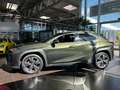 Lexus 250 h Style Edition AHK RFK Full Link LED Groen - thumbnail 4