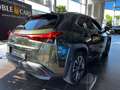 Lexus 250 h Style Edition AHK RFK Full Link LED Groen - thumbnail 7