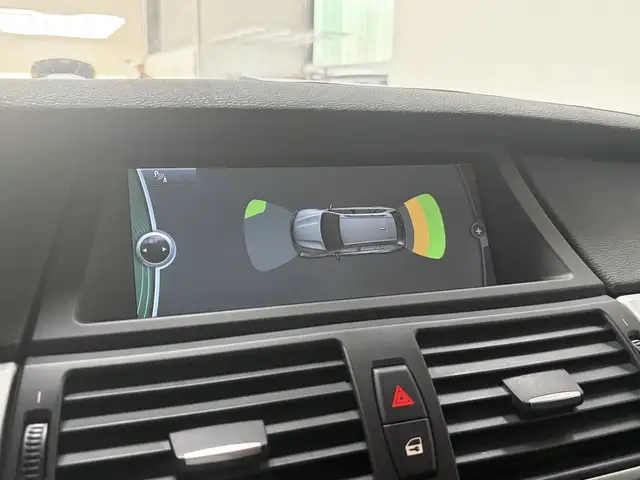 BMW X5 X5 view 9
