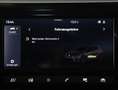 SEAT Ibiza Reference Edition 1.0 TSI Rot - thumbnail 16