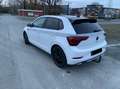 Volkswagen Polo GTI Polo 2.0 TSI DSG OPF GTI Vollausstattung Garage Alb - thumbnail 4