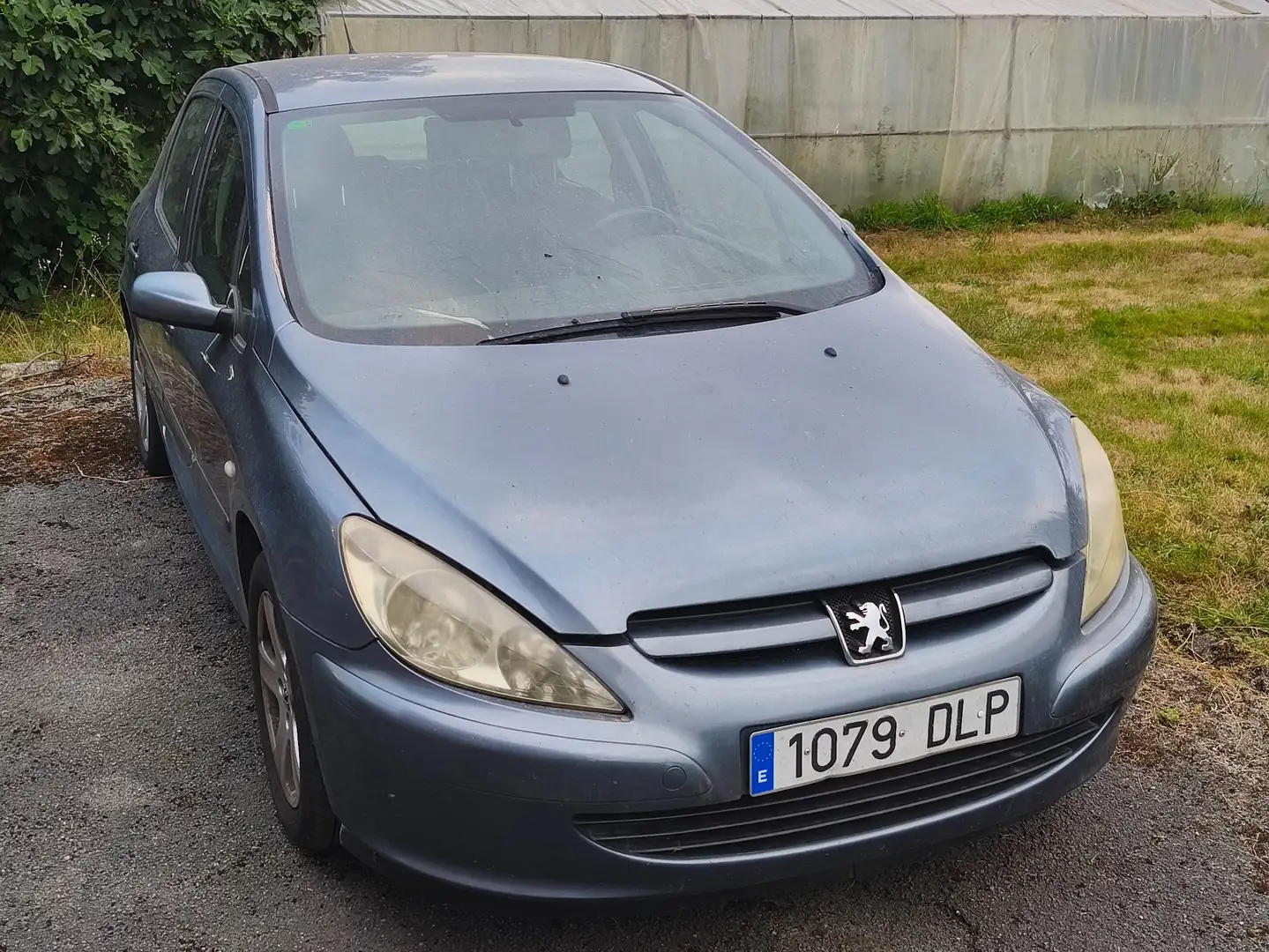 Peugeot 307 307 2.0HDI XS 136 XS Gris - 2