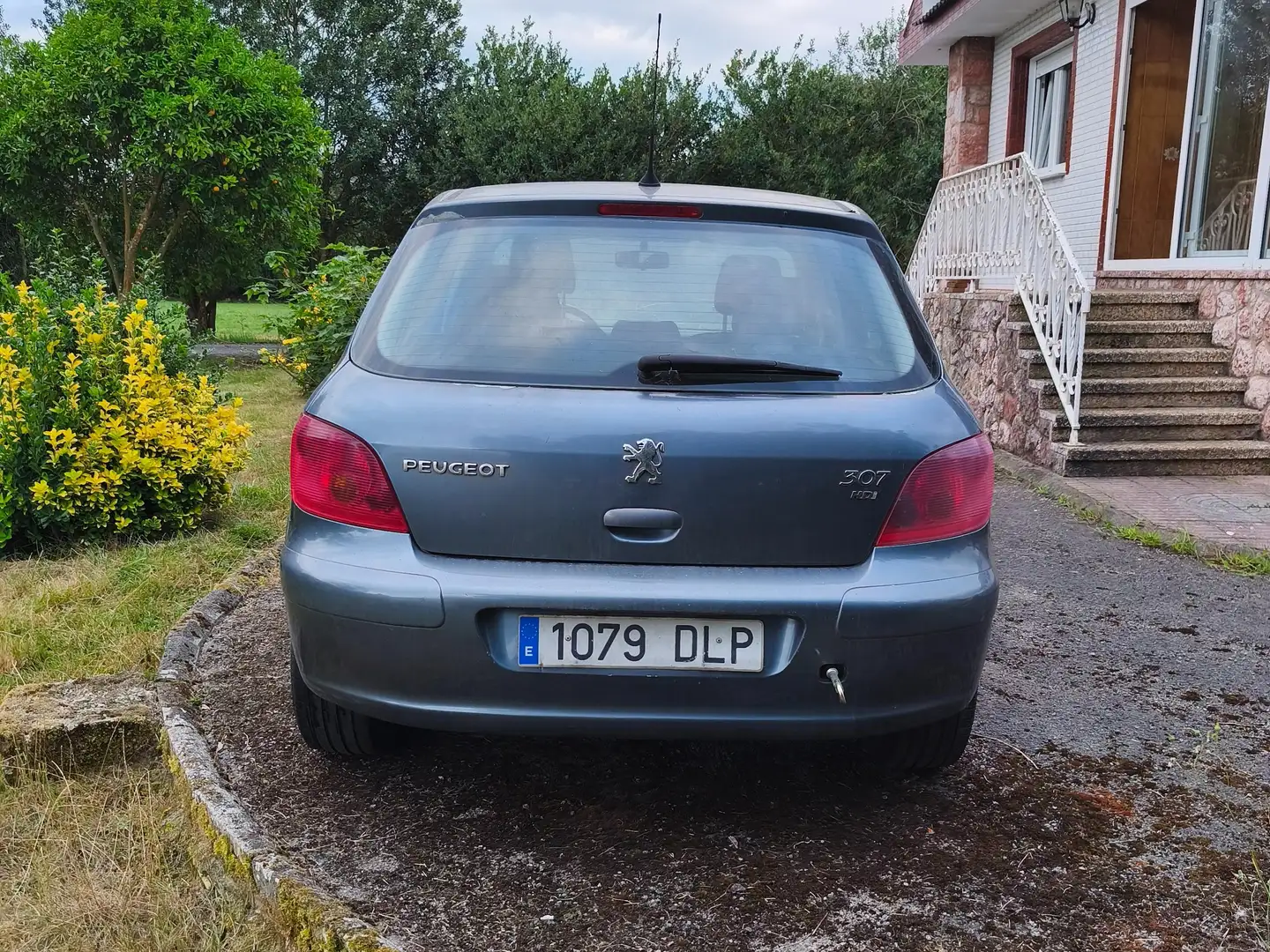 Peugeot 307 307 2.0HDI XS 136 XS Gris - 1