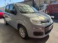 Fiat Panda 1.2 BENZINA-GPL CASA MADRE- AZIENDALE -  GARANZIA Grigio - thumbnail 3