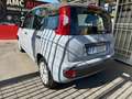 Fiat Panda 1.2 BENZINA-GPL CASA MADRE- AZIENDALE -  GARANZIA Grigio - thumbnail 4