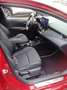 Toyota Corolla 2.0 Hybrid TS Team D mit Technik-Paket Rouge - thumbnail 7