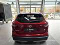 Nissan Qashqai 1.3 DIG-T Zama Navi Pano 360* SHZ Red - thumbnail 6