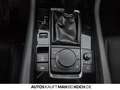 Mazda 3 SKYACTIV-G M-Hybrid Selection ACC HUD BOSE Grau - thumbnail 33