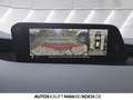 Mazda 3 SKYACTIV-G M-Hybrid Selection ACC HUD BOSE Grau - thumbnail 14