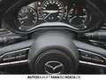 Mazda 3 SKYACTIV-G M-Hybrid Selection ACC HUD BOSE Grau - thumbnail 12