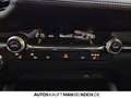 Mazda 3 SKYACTIV-G M-Hybrid Selection ACC HUD BOSE Grau - thumbnail 31