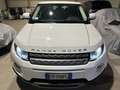 Land Rover Range Rover Evoque 2.2 td4 Pure Tech Pack 150cv BOOKSERVICE - thumbnail 6