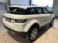 Land Rover Range Rover Evoque 2.2 td4 Pure Tech Pack 150cv BOOKSERVICE - thumbnail 3