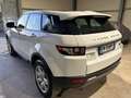 Land Rover Range Rover Evoque 2.2 td4 Pure Tech Pack 150cv BOOKSERVICE - thumbnail 8
