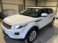 Land Rover Range Rover Evoque 2.2 td4 Pure Tech Pack 150cv BOOKSERVICE - thumbnail 2