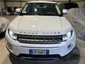 Land Rover Range Rover Evoque 2.2 td4 Pure Tech Pack 150cv BOOKSERVICE - thumbnail 7