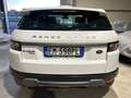 Land Rover Range Rover Evoque 2.2 td4 Pure Tech Pack 150cv BOOKSERVICE - thumbnail 5