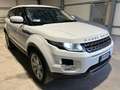 Land Rover Range Rover Evoque 2.2 td4 Pure Tech Pack 150cv BOOKSERVICE - thumbnail 1