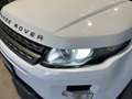 Land Rover Range Rover Evoque 2.2 td4 Pure Tech Pack 150cv BOOKSERVICE - thumbnail 9