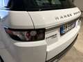 Land Rover Range Rover Evoque 2.2 td4 Pure Tech Pack 150cv BOOKSERVICE - thumbnail 4